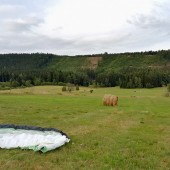 Paragliding Fly - Chełmsko Śląskie Róg, Lądowanie na Rogu