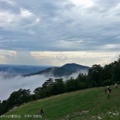 Lijak Paragliding Fly