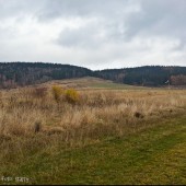 Mieroszów na start., Listopadowy Mieroszów