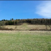 Widok na strowisko do drogi dojazdowej.