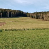 Mieroszów Paragliding Fly