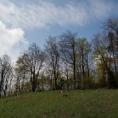 Latanie z Czeszki - startowisko, Widok z dołu na startowisko.