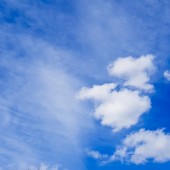 Cu nad Dzierżoniowem, Wiadomo dlaczego Żmij wygrał XC