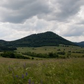 Widok od strony przedpola na Dzikowiec.