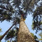 Mieroszów Paragliding Zonk, Na początek sezonu, ćwiczenia z GOPR'em