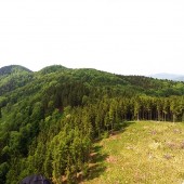 Grzmiąca Paraglideing Fly, Sztuczna polana nad startowiskiem. To by było super miejsce do startu.