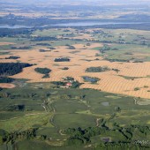 Niby płasko, ale trochę garbato, pagórkowato.