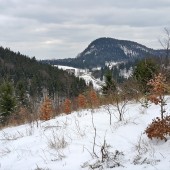 Widok ze startu w stronę schroniska