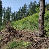 Grzmiąca Paragliding Fly, Powrót na chłodno na miejsce przyziemienia.