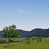 Bukowiec - Klina Hike, fly już było.