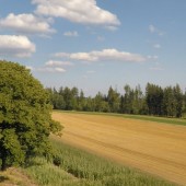 Lądowanie koło Jilemnice (20km), ściernisko raczej po raz ostatni z wyboru.