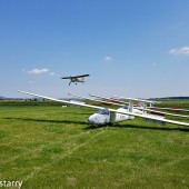 Wilga wozi skoczków, a szybowce czekają w kolejce.