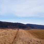 Coroczny marcowy super warun na Monte Muero