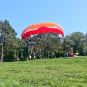 Lijak 2015