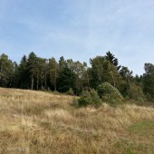 Latanie w silnym wietrze, na żaglu i zafalowaniu ... trochę już zapomniałem jak to jest.