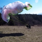 Wielkanocna niedziela w Mieroszowie, Paragliding Fly