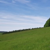 Lądowanie pod Bukowcem