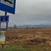 Mieroszowski mordor, Massakra