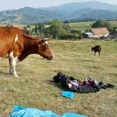 Po lądowaniu taka sytuacja.