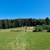 Monte Mieroszów - Paragliding Fly, Latanie przed frontem burzowym.