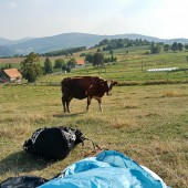 Niedźwiedzica Paragliding Fly, Po lądowaniu taka sytuacja.